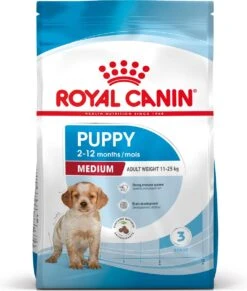 Royal Canin Medium Junior 15 KG -Exporteren Alles Voor Honden Winkel 1019x1200