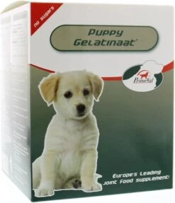 Primeval Artrose Gelatinaat Puppy - 350 Gr -Exporteren Alles Voor Honden Winkel 1033x1200 3