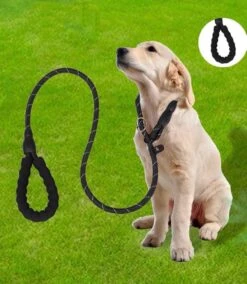 Nixnix - Honden Riem - 1,7cm - Zwart - 1,2cm Dik - Sliplijn - Nylon - Hondenriem - Verstelbaar - Jachtlijn Met Stop - Leiband -Exporteren Alles Voor Honden Winkel 1042x1200