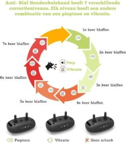 Doggie™ Anti Blafband - Diervriendelijk - GEEN Schok - Anti Blafband - Hondenhalsband 11 Doggie™ Anti Blafband - Diervriendelijk - GEEN Schok - Anti Blafband - Hondenhalsband -Exporteren Alles Voor Honden Winkel 1048x1200 2
