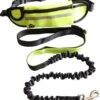 Hondenriem Hardloopriem Elastische Reflecterende Geschikt Voor Hardlopen - Handsfree Riem Met Opbergtasje – Hond Looplijn - Schokabsorberend - Groen -Exporteren Alles Voor Honden Winkel 1052x1200 2
