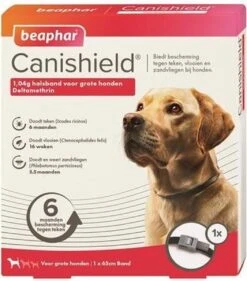 Beaphar Canishield Anti Vlooien En Teken Halsband S - M 48 Cm 8 Beaphar Canishield Anti Vlooien En Teken Halsband S - M 48 Cm -Exporteren Alles Voor Honden Winkel 1054x1200 3