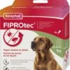 Beaphar Fiprotec Anti Vlooien En Tekenmiddel - Hond 20-40 Kg - 3 Pipetten -Exporteren Alles Voor Honden Winkel 1066x1200