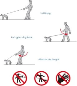 IGOODS - Uitlaatriem - Honden Riem - Katten Riem - Uitlaatriem Voor Dieren Rollijn - Hondenriem - 5 Meter Lang - Grijs 19 IGOODS - Uitlaatriem - Honden Riem - Katten Riem - Uitlaatriem Voor Dieren Rollijn - Hondenriem - 5 Meter Lang - Grijs -Exporteren Alles Voor Honden Winkel 1072x1200 2