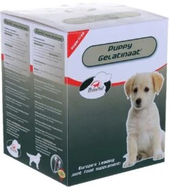 Primeval Artrose Gelatinaat Puppy - 350 Gr -Exporteren Alles Voor Honden Winkel 1085x1200