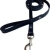 Hondenriem - 220cm – Zwarte Riem - Leren Hondenriem Met Stiksels – 100% Volnerfleer - Hond - Leer - Leder 2 Hondenriem - 220cm – Zwarte Riem - Leren Hondenriem Met Stiksels – 100% Volnerfleer - Hond - Leer - Leder -Exporteren Alles Voor Honden Winkel 1091x1200