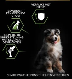 Pro Plan Healthy Start Puppy Medium - Honden Droogvoer - Kip - 12 Kg -Exporteren Alles Voor Honden Winkel 1095x1200