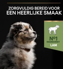 Pro Plan Medium Puppy Sensitive Digestion - Honden Droogvoer - Lam - 4 X 3 Kg 28 Pro Plan Medium Puppy Sensitive Digestion - Honden Droogvoer - Lam - 4 X 3 Kg -Exporteren Alles Voor Honden Winkel 1109x1200