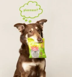 Merkloos Edgard & Cooper Lam & Rund Bites - Voor Honden - Hondensnack - 50g -Exporteren Alles Voor Honden Winkel 1115x1200