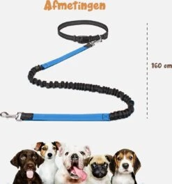 Hardloopriem Hond – Honden Riem Handsfree – Hardlopen Met Hond – 160-260 Cm Blauw - Hardloopband Hond – Halsband Hond – Hondenlijn – Leiband Hond 14 Hardloopriem Hond – Honden Riem Handsfree – Hardlopen Met Hond – 160-260 Cm Blauw - Hardloopband Hond – Halsband Hond – Hondenlijn – Leiband Hond -Exporteren Alles Voor Honden Winkel 1124x1200 2