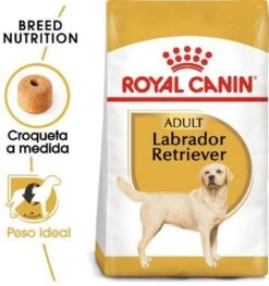 Royal Canin Labrador Retriever Adult 12 KG -Exporteren Alles Voor Honden Winkel 1125x1200 2