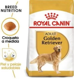 Royal Canin Golden Retriever 12 KG -Exporteren Alles Voor Honden Winkel 1125x1200 5