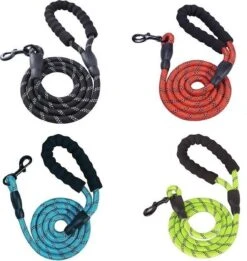 Merkloos Hondenriem - Reflecterende Hondenriem - Rood -Exporteren Alles Voor Honden Winkel 1136x1200 3