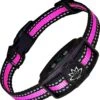 Premium Anti Blafband Om Je Hond Snel En Effectief Te Laten Stoppen Met Blaffen - Diervriendelijke Opvoedingshalsband Zonder Schok - Trainingshalsband Voor Grote En Kleine Honden - Anti Blaf Apparaat - Correctie Halsband 1 Premium Anti Blafband Om Je Hond Snel En Effectief Te Laten Stoppen Met Blaffen - Diervriendelijke Opvoedingshalsband Zonder Schok - Trainingshalsband Voor Grote En Kleine Honden - Anti Blaf Apparaat - Correctie Halsband -Exporteren Alles Voor Honden Winkel 1138x1200