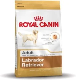 Royal Canin Labrador Retriever Adult 12 KG -Exporteren Alles Voor Honden Winkel 1144x1200 1