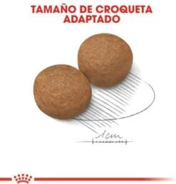 Royal Canin Maxi Adult 5+ Jaar Oud - Hondenvoer - 15 Kg 27 Royal Canin Maxi Adult 5+ Jaar Oud - Hondenvoer - 15 Kg -Exporteren Alles Voor Honden Winkel 1149x1200 1