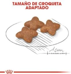 Royal Canin Mini Adult 8 KG -Exporteren Alles Voor Honden Winkel 1149x1200 3