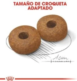 Royal Canin Medium Ageing 10+ - Hondenvoer - 15 Kg 24 Royal Canin Medium Ageing 10+ - Hondenvoer - 15 Kg -Exporteren Alles Voor Honden Winkel 1149x1200 5