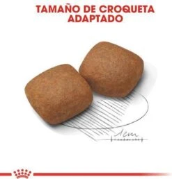 Royal Canin Giant Junior 15 KG 24 Royal Canin Giant Junior 15 KG -Exporteren Alles Voor Honden Winkel 1151x1200