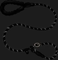 Nixnix - Honden Riem - 1,7cm - Zwart - 1,2cm Dik - Sliplijn - Nylon - Hondenriem - Verstelbaar - Jachtlijn Met Stop - Leiband -Exporteren Alles Voor Honden Winkel 1154x1200 2