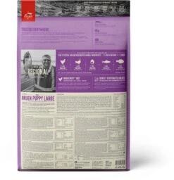 Orijen Puppy Large Breed 27 Orijen Puppy Large Breed -Exporteren Alles Voor Honden Winkel 1156x1200 1