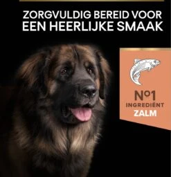 Pro Plan Large Robust Adult Sensitive Skin - Honden Droogvoer - Zalm - 14 Kg -Exporteren Alles Voor Honden Winkel 1156x1200