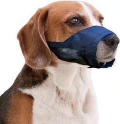 Pawise Muilkorf Adjustable - M - Size -Exporteren Alles Voor Honden Winkel 1159x1200 2