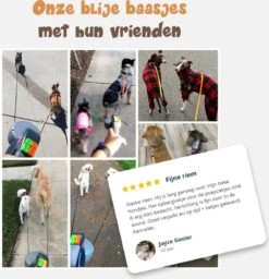 Dubbele Honden Riem – Leiband Hond – Hondenlijn – Looplijn Hond – 2 Honden – 3 Meter – Tot 12kg Per Hond – Reflecterende Lijnen – Met Zaklamp – 360° Draaien – Verstelbaar - Zwart 18 Dubbele Honden Riem – Leiband Hond – Hondenlijn – Looplijn Hond – 2 Honden – 3 Meter – Tot 12kg Per Hond – Reflecterende Lijnen – Met Zaklamp – 360° Draaien – Verstelbaar - Zwart -Exporteren Alles Voor Honden Winkel 1160x1200 8