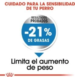 Royal Canin Light Weight Care Medium - Hondenvoer - 12 Kg 19 Royal Canin Light Weight Care Medium - Hondenvoer - 12 Kg -Exporteren Alles Voor Honden Winkel 1161x1200