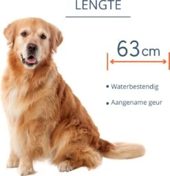 Merkloos Vlooienband Hond - 8 Maanden Bescherming - Vlooienband - Natuurlijk - Tekenband - Anti Vlooien - 63cm - Fit All Sizes - Vlooienbandjes Hond - Vlooien - Teken 18 Merkloos Vlooienband Hond - 8 Maanden Bescherming - Vlooienband - Natuurlijk - Tekenband - Anti Vlooien - 63cm - Fit All Sizes - Vlooienbandjes Hond - Vlooien - Teken -Exporteren Alles Voor Honden Winkel 1162x1200 7