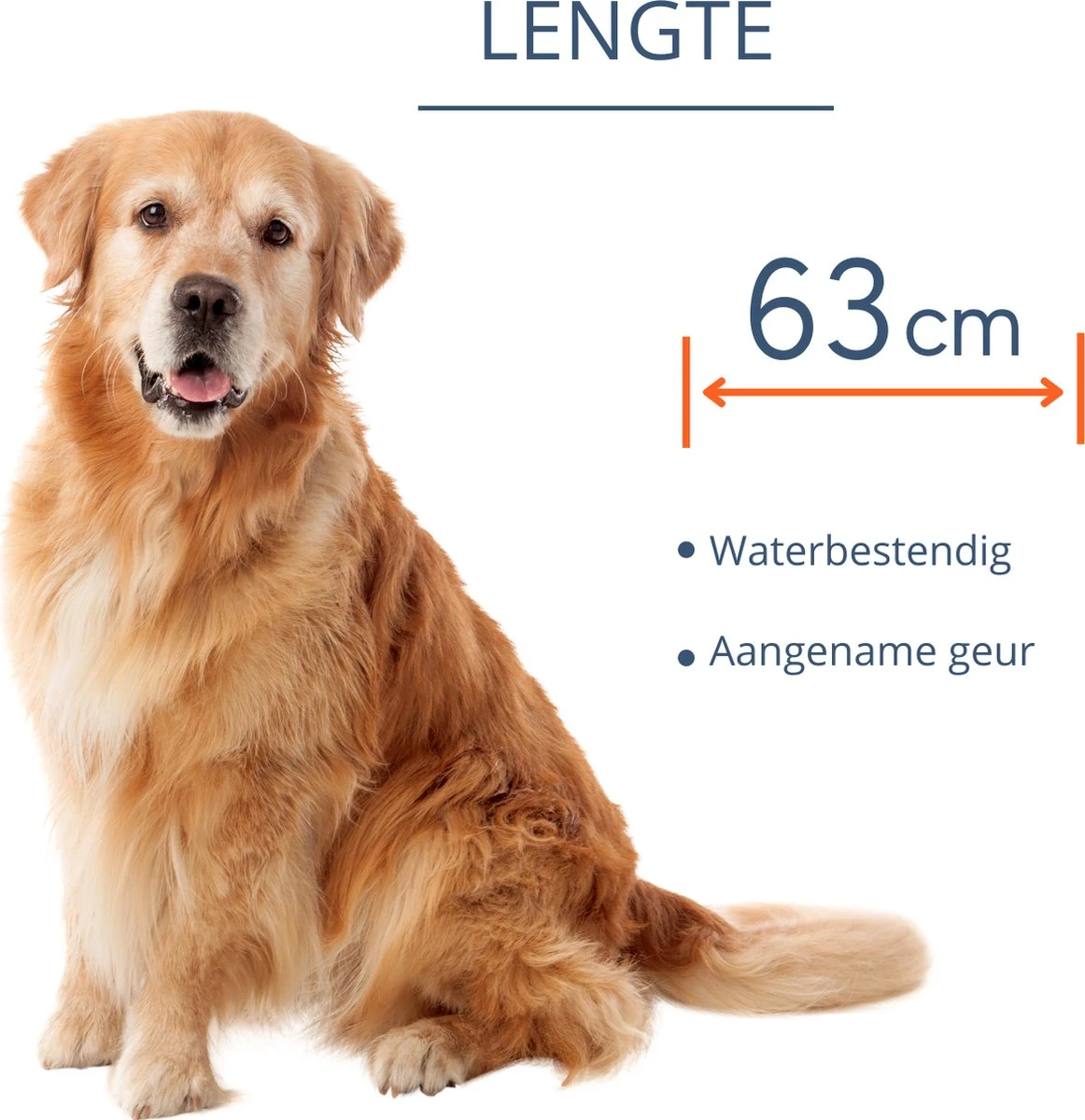 Merkloos Vlooienband Hond - 8 Maanden Bescherming - Vlooienband - Natuurlijk - Tekenband - Anti Vlooien - 63cm - Fit All Sizes - Vlooienbandjes Hond - Vlooien - Teken 10 Merkloos Vlooienband Hond - 8 Maanden Bescherming - Vlooienband - Natuurlijk - Tekenband - Anti Vlooien - 63cm - Fit All Sizes - Vlooienbandjes Hond - Vlooien - Teken - Afbeelding 8