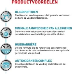 Royal Canin Anallergenic - Hondenvoer - 3 Kg -Exporteren Alles Voor Honden Winkel 1168x1200 1