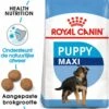 Royal Canin Maxi Junior - Hondenvoer - 10 Kg
