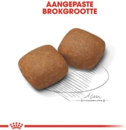 Royal Canin Giant Junior 15 KG 25 Royal Canin Giant Junior 15 KG -Exporteren Alles Voor Honden Winkel 1169x1200 3