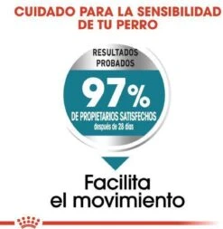 Royal Canin Ccn Joint Care Maxi - Hondenvoer - 10 Kg -Exporteren Alles Voor Honden Winkel 1171x1200 2