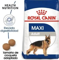 Royal Canin Maxi Adult 5+ Jaar Oud - Hondenvoer - 15 Kg 34 Royal Canin Maxi Adult 5+ Jaar Oud - Hondenvoer - 15 Kg -Exporteren Alles Voor Honden Winkel 1171x1200 3