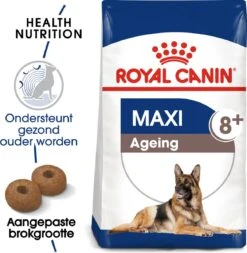 Royal Canin Maxi Ageing 8+ 15 KG -Exporteren Alles Voor Honden Winkel 1172x1200 1