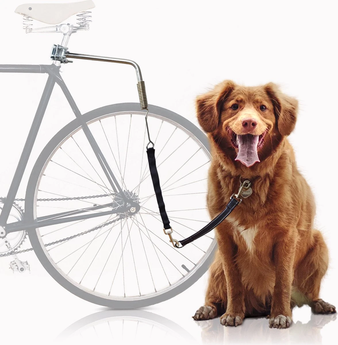 Bella & Balu Hondenriem Voor Fiets | Fietsriem Incl. Bevestiging Voor Zadelpen, Afstandhouder, Korte Geleider, Spiraalveer, Riem En Reflectoren - Voor Veilig Fietsen Met Hond 3 Bella & Balu Hondenriem Voor Fiets | Fietsriem Incl. Bevestiging Voor Zadelpen, Afstandhouder, Korte Geleider, Spiraalveer, Riem En Reflectoren - Voor Veilig Fietsen Met Hond