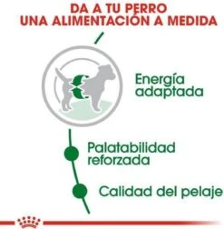 Royal Canin Mini Adult 8 KG -Exporteren Alles Voor Honden Winkel 1177x1200 1