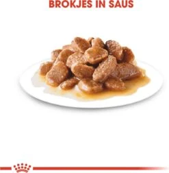 Royal Canin Shn Mini Adult Pouch - Hondenvoer - 12 X 85 G -Exporteren Alles Voor Honden Winkel 1177x1200 2