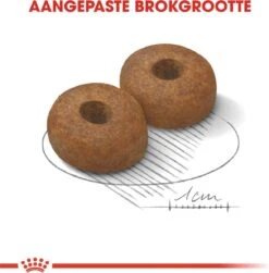 Royal Canin Maxi Ageing 8+ 15 KG -Exporteren Alles Voor Honden Winkel 1179x1200 2