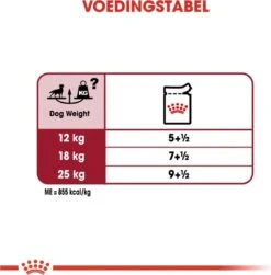 Royal Canin Shn Medium Adult Pouch - Hondenvoer - 10 X 140 G 17 Royal Canin Shn Medium Adult Pouch - Hondenvoer - 10 X 140 G -Exporteren Alles Voor Honden Winkel 1179x1200