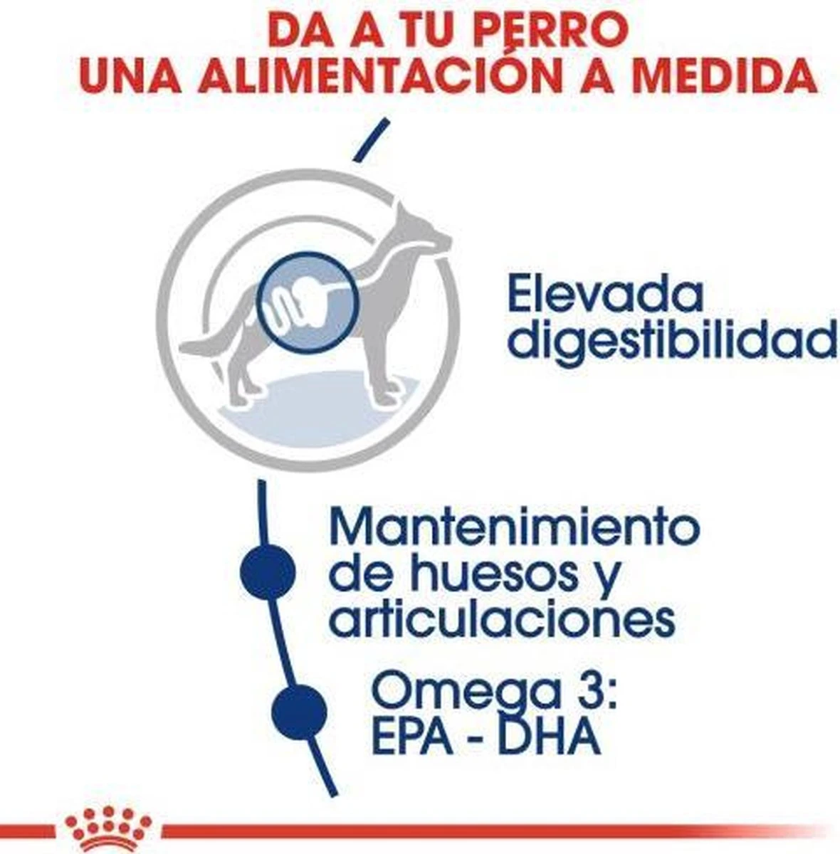 Royal Canin Maxi Adult 5+ Jaar Oud - Hondenvoer - 15 Kg 9 Royal Canin Maxi Adult 5+ Jaar Oud - Hondenvoer - 15 Kg - Afbeelding 7