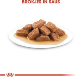 Royal Canin Shn Medium Adult Pouch - Hondenvoer - 10 X 140 G 14 Royal Canin Shn Medium Adult Pouch - Hondenvoer - 10 X 140 G -Exporteren Alles Voor Honden Winkel 1180x1200