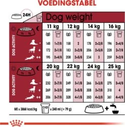 Royal Canin Medium Ageing 10+ - Hondenvoer - 15 Kg 23 Royal Canin Medium Ageing 10+ - Hondenvoer - 15 Kg -Exporteren Alles Voor Honden Winkel 1182x1200 2