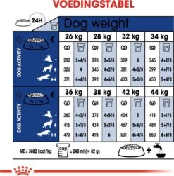 Royal Canin Maxi Ageing 8+ 15 KG -Exporteren Alles Voor Honden Winkel 1182x1200 3