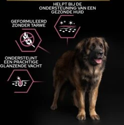 Pro Plan Large Robust Adult Sensitive Skin - Honden Droogvoer - Zalm - 14 Kg -Exporteren Alles Voor Honden Winkel 1184x1200