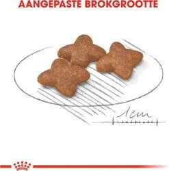 Royal Canin Mini Adult 8 KG -Exporteren Alles Voor Honden Winkel 1185x1200 4