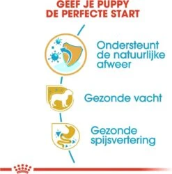 Royal Canin Yorkshire Terrier Junior 1.5 KG -Exporteren Alles Voor Honden Winkel 1186x1200 2