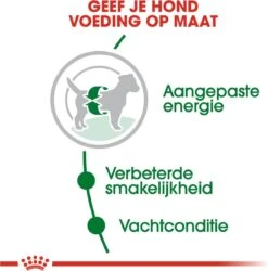 Royal Canin Mini Adult 8 KG -Exporteren Alles Voor Honden Winkel 1186x1200 3